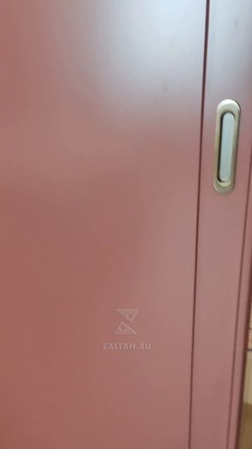 Шкаф-купе в спальню в насыщенном винном оттенке.