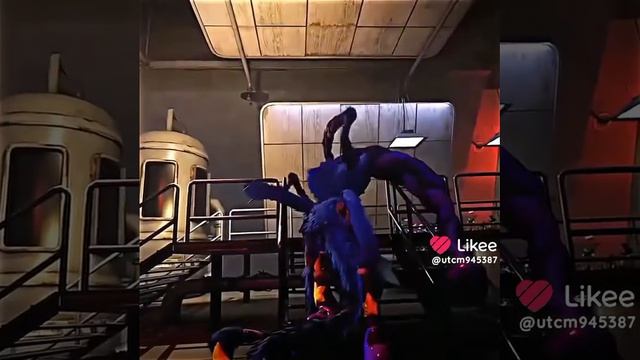 Like_7618859422685562363.mp4