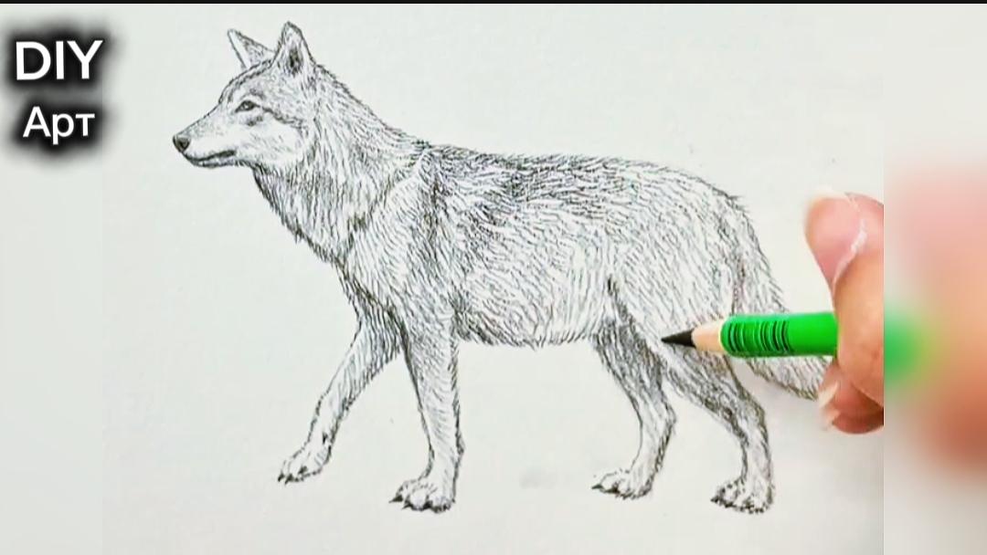 Вот как нарисовать волка карандашом. DIY Арт