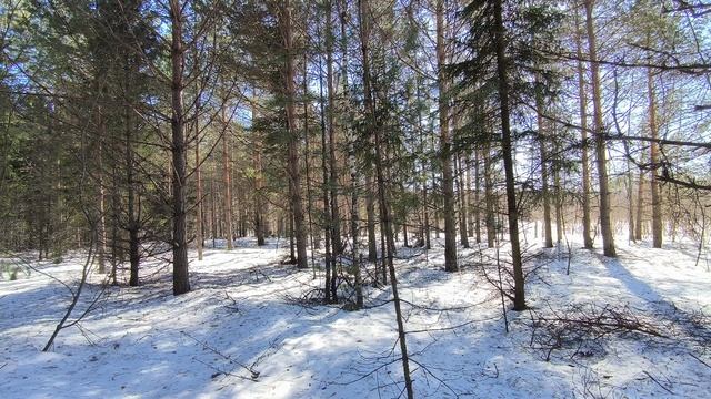 D4d92538411bc802c411fd6dcb0360b7