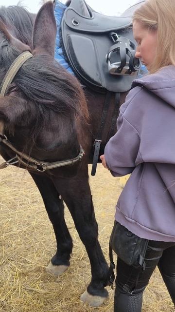 А ведь просто седлает ♥️
