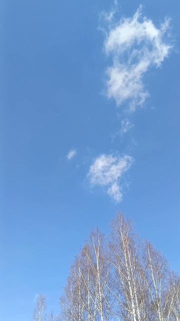 Чыл Пажы (шорский новый год)