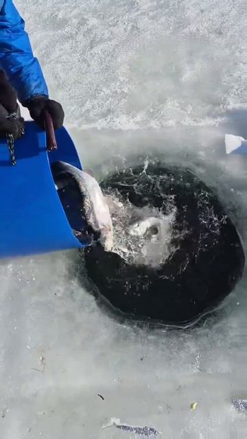 запуск22.03.mp4