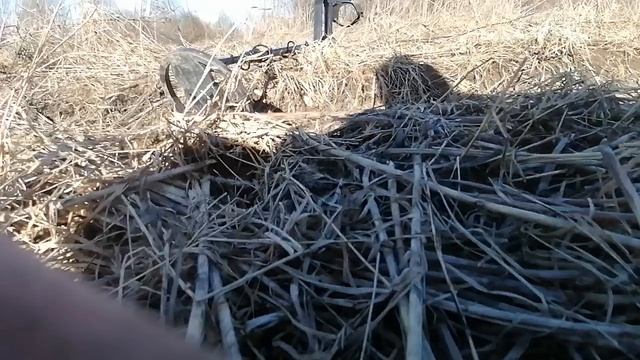 Всё больше нет😢