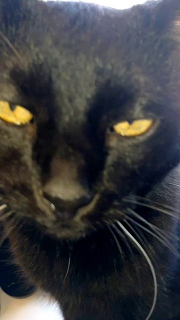 22f14d8c95d9cb73618e1642bddb22bb