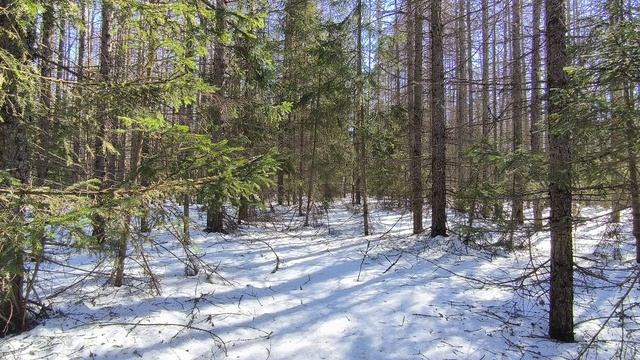 331d84b2ae12489bc5e5d14563183336