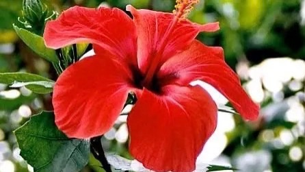 7d5aee5ae208b5993c7310911ef92a65