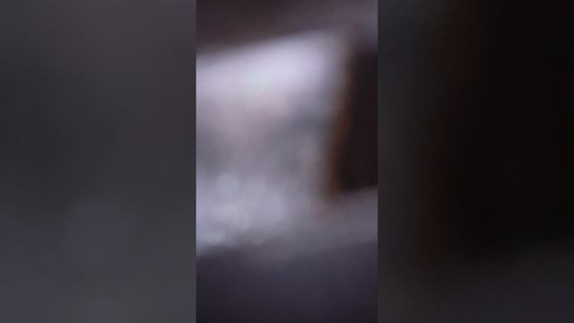 часть третья в джунглях выживание.