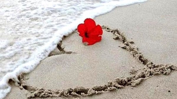 93d47a2692f7f3ef484d591424af21d4