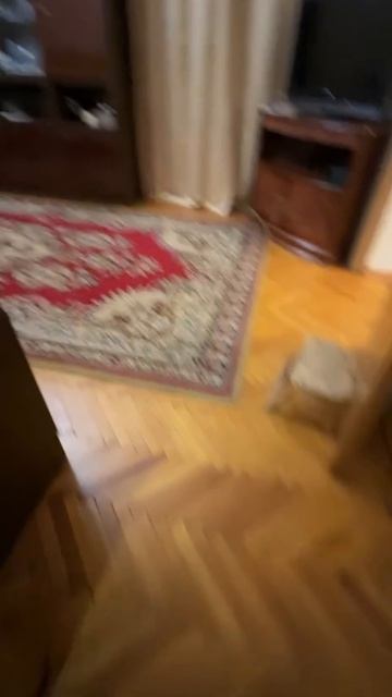 В продаже очень теплая и уютная квартира необычной конфигурации