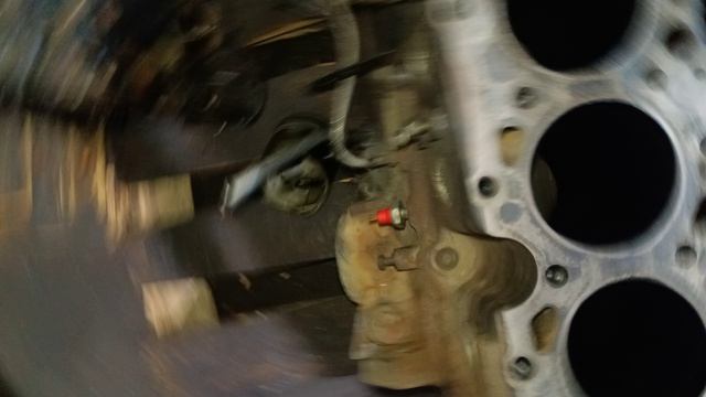 РОТТЛЕР?ЧЕМ ОН ЛУЧШЕ?