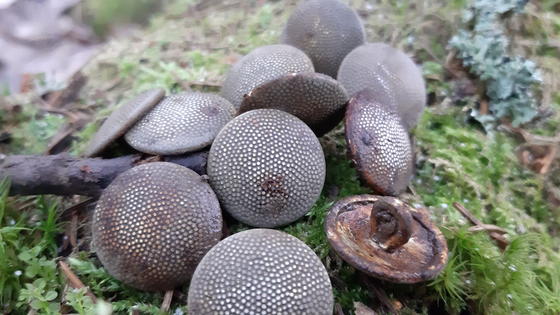 Коп по войне. Фильм 68. Военная археология.