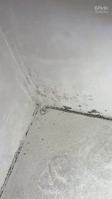 Жк «Мир Труд Май» Застройщик Правобережный АЦС