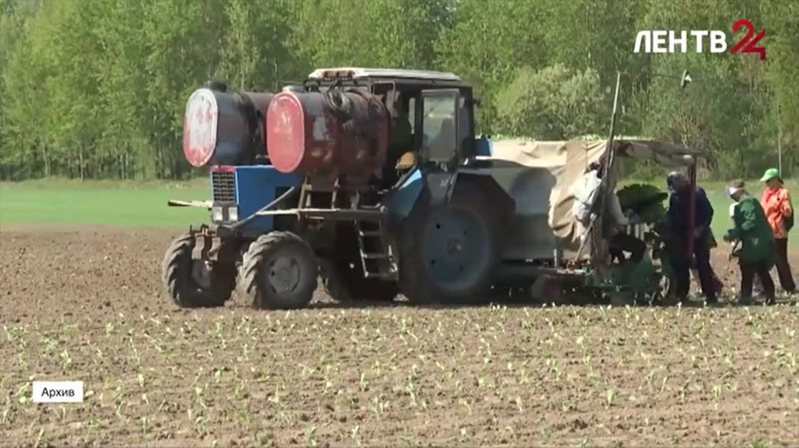 ЛенТВ24: Фермеры в Ленобласти смогут увеличить свои участки до двух тысяч гектаров