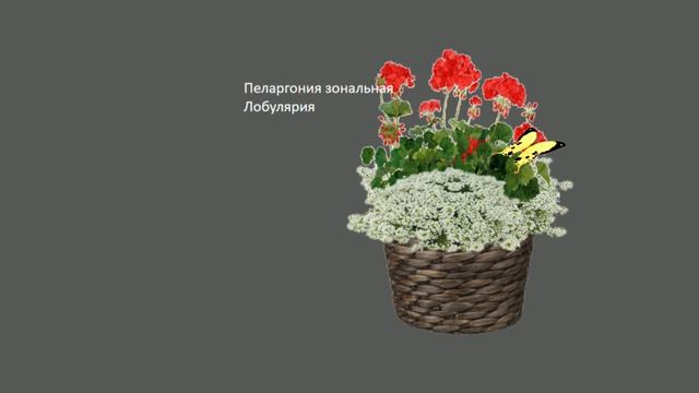 С праздником весны! Улыбок, теплоты, яркого света.