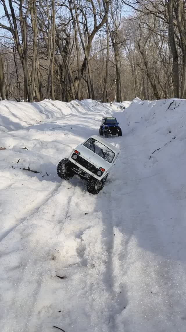 81d01ad85cff3219c4515f4b729cdb2c