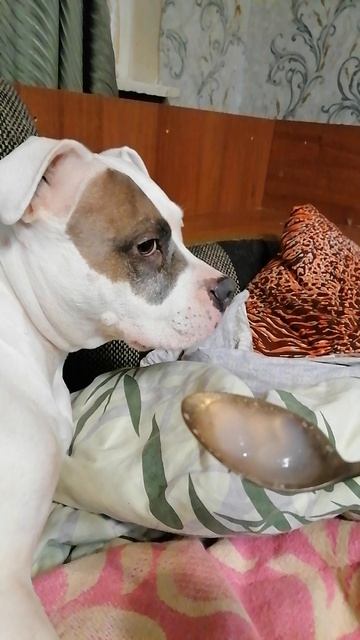 Руна и внезапная аллергия на препарат.