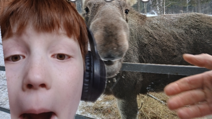 (Влог) поехали на 