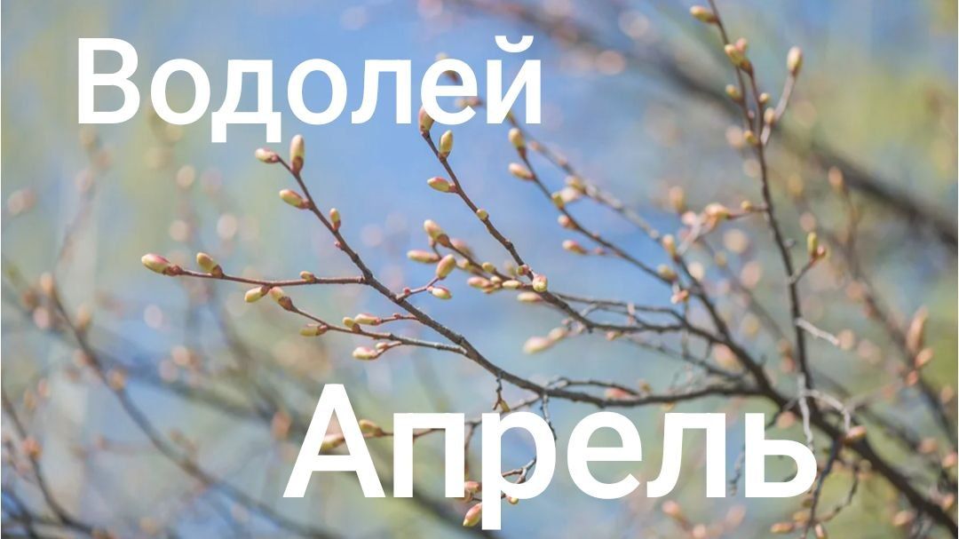 Таро расклад для Водолеев на апрель 2026 года