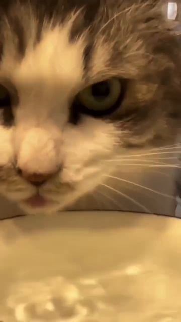 Освежаюсь я сейчас, ох, бокальчиком вина!