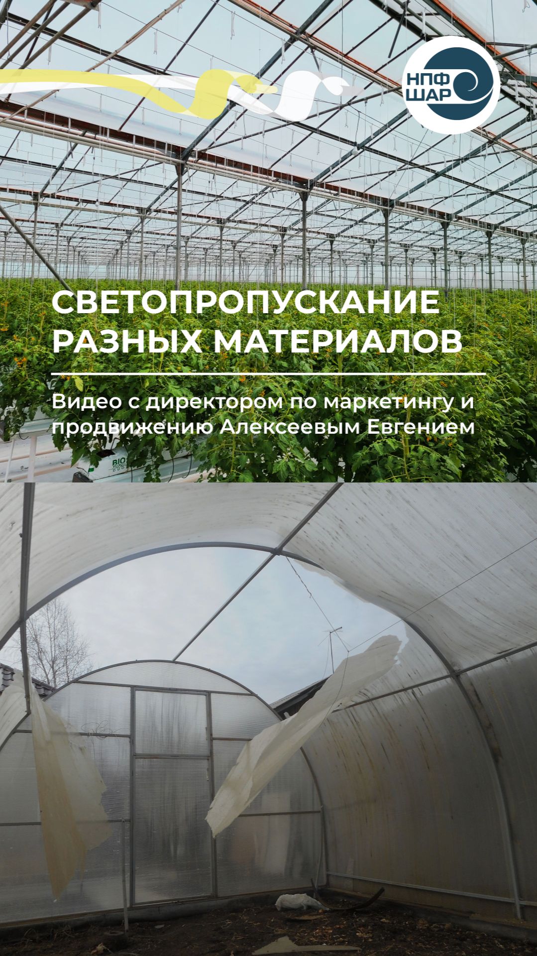 Светопропускание материалов для теплиц: СВЕТЛИЦА™, поликарбонат и армированная плёнка 🌱