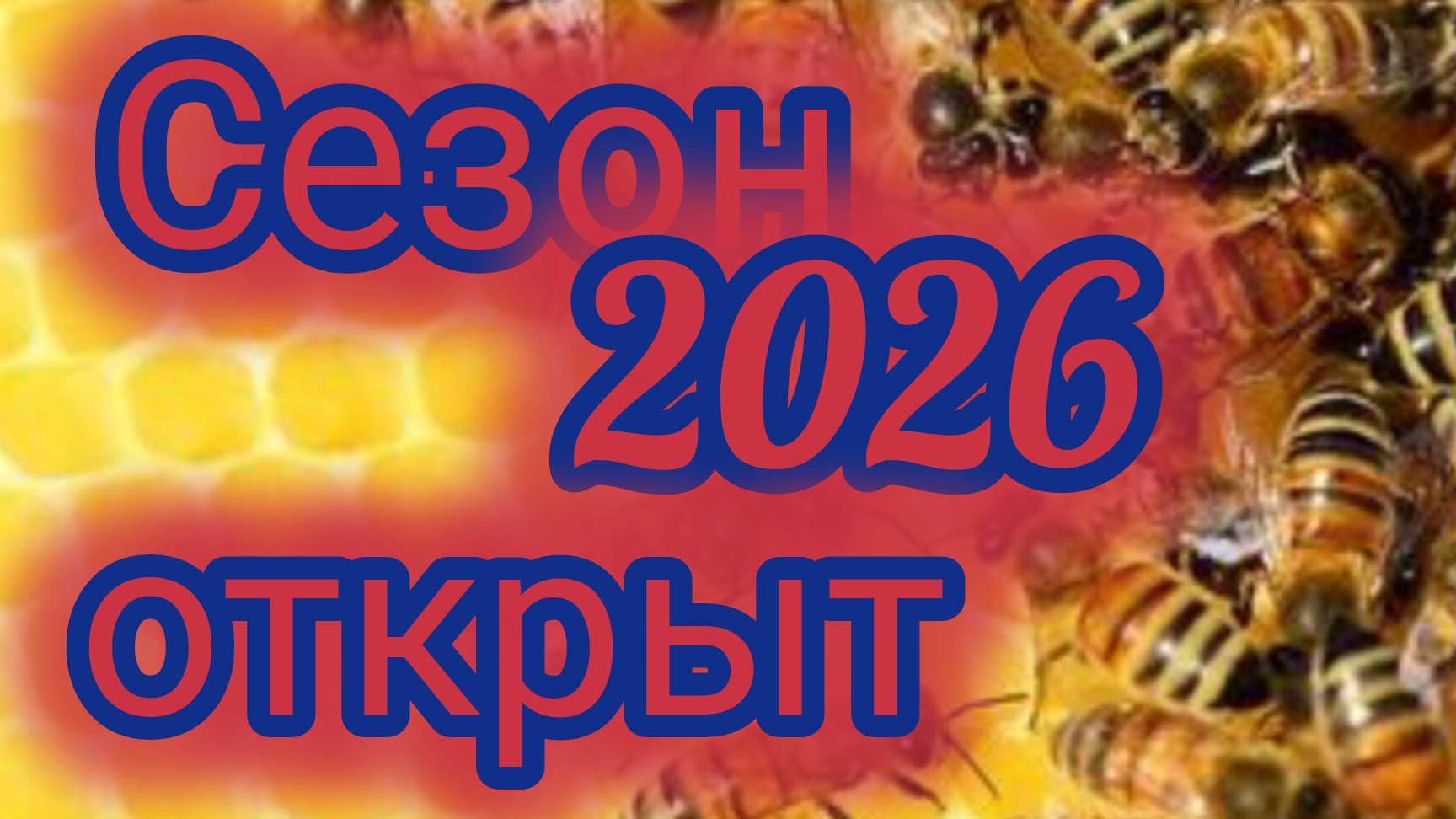 Сезон 2026 открыт 🐝