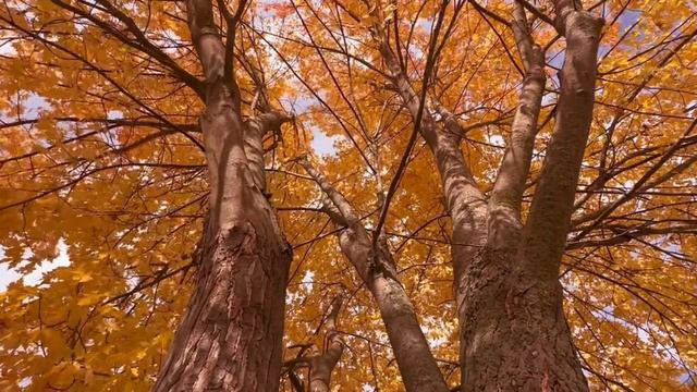 65cd27eb6ae489b5b226e622d3518457