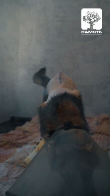 Каждая клетка - чья-то сломанная история