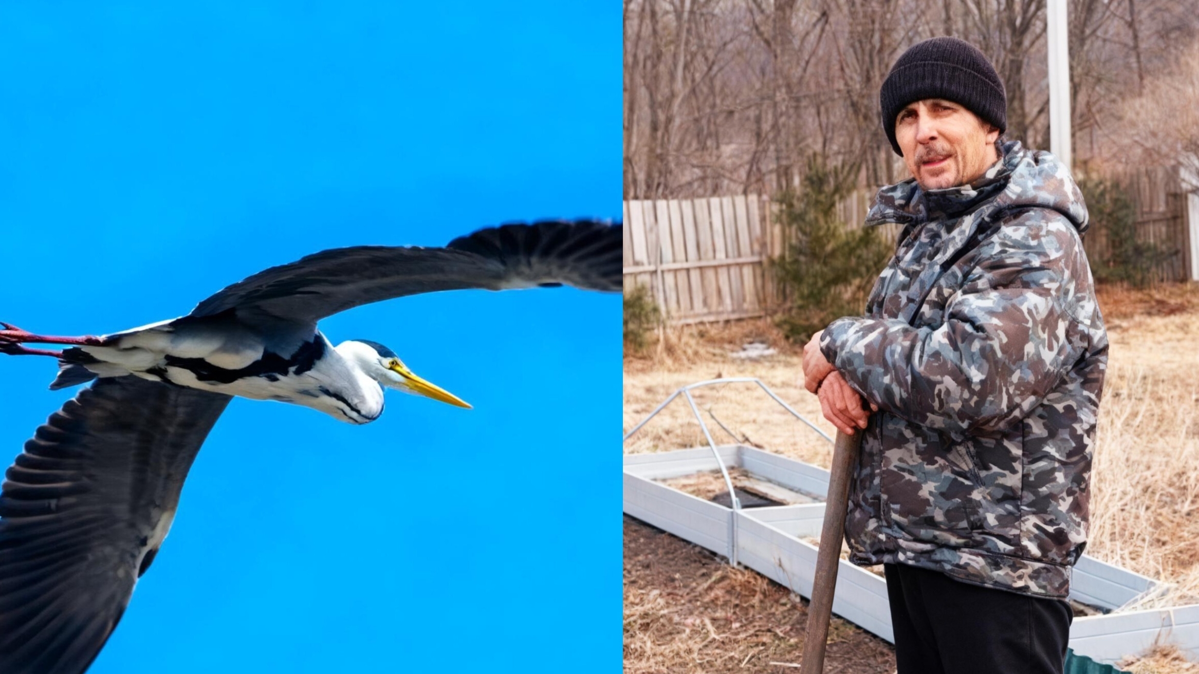 Кто куда,а мы на дачу! Какие птицы у нас летают над дачей