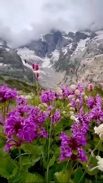 Весна — время, когда все напоминает нам о гармонии!