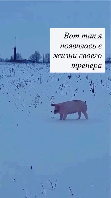 Так и было... 🤣