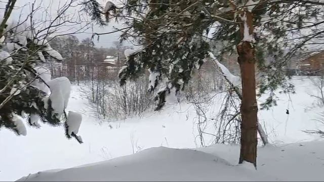 З/у  с к.н. 50:28:0050305:1174 расположенный по адресу: Московская область, г. Домодедово, д. Жуково