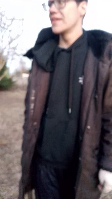 пилим деревья