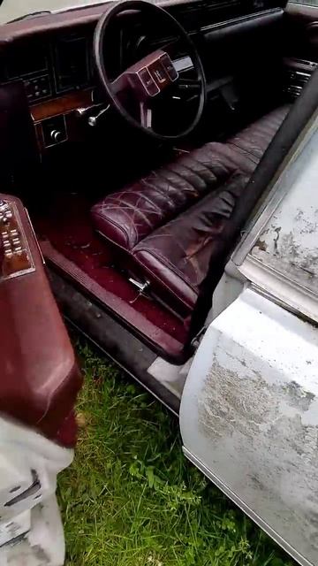 Лимузин, дом на колёсах или хлам на переработку?  Что бы ты из него сделал? #automobile