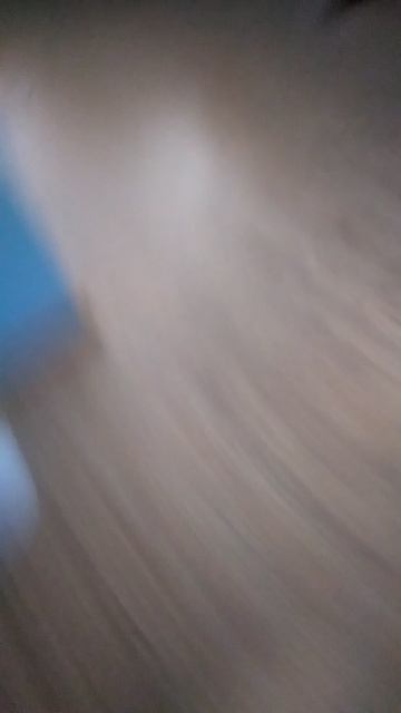 VID20260216145522.mp4