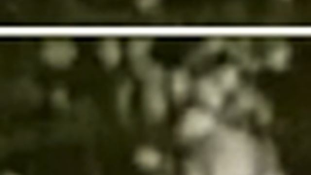 ScreenRecording_03-23-2026 00-11-35_1