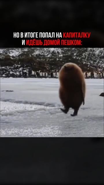 Завтра на работу также пойдёт. Заезжайте на диагностику АКПП! Подписчикам - бесплатно.