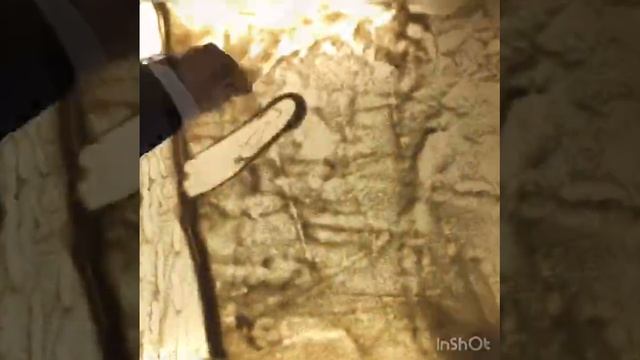 Пескография. Птица: рисуют дети.