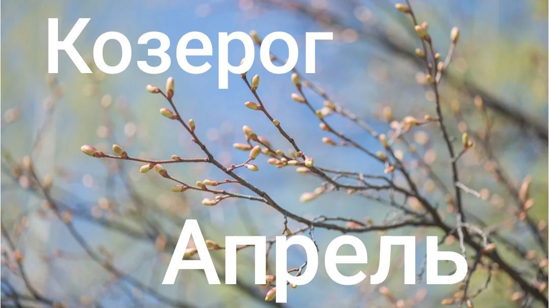 Таро расклад для Козерогов на апрель 2026 года