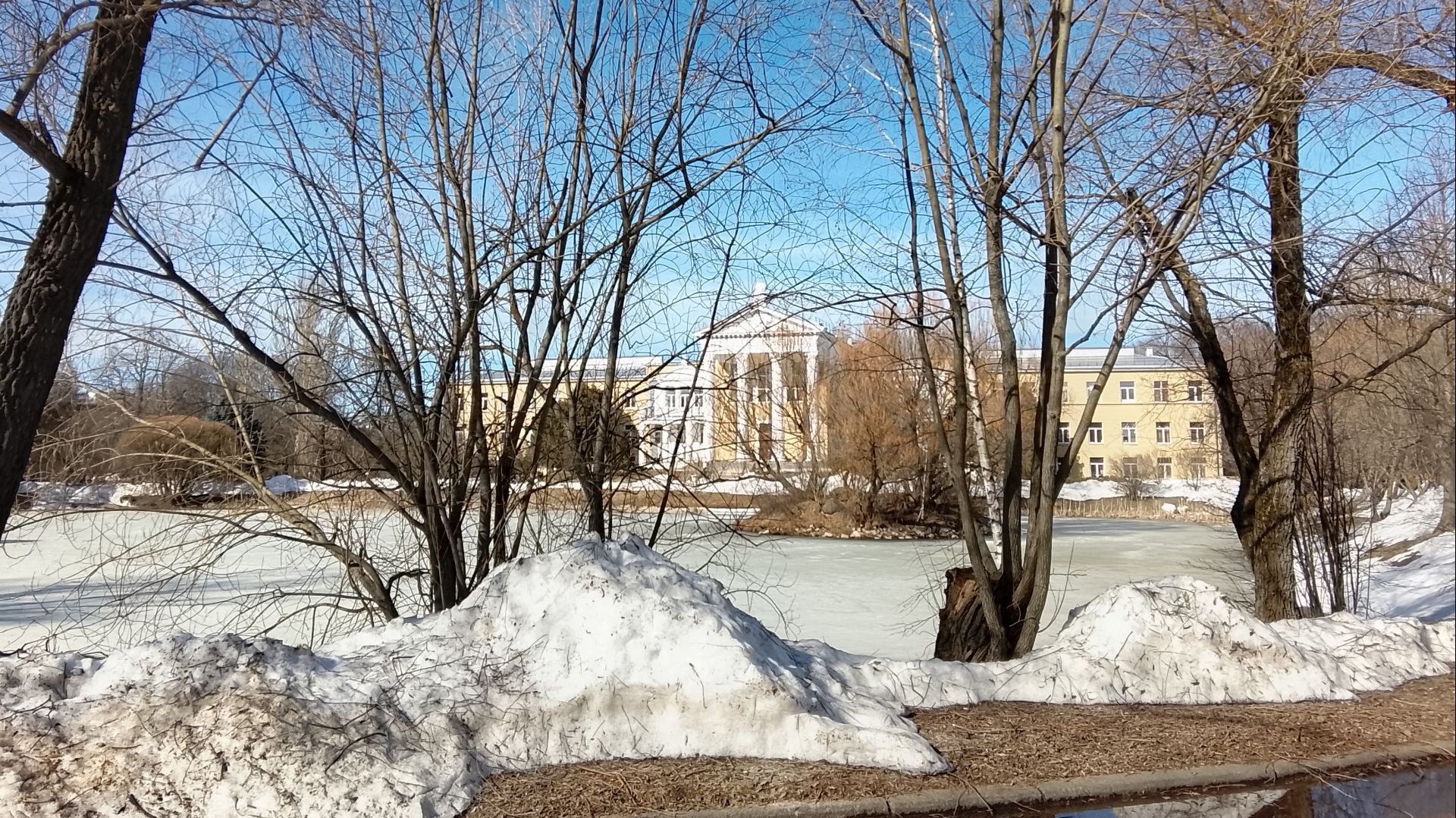 Главный Ботанический просыпается от долгой снежной зимы...