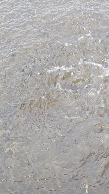 ветродуйка тест