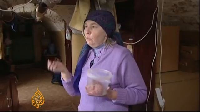 Котики Эрмитажа Cats Of Hermitage 2