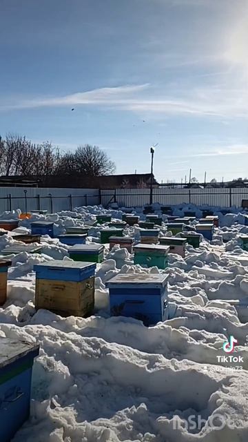 Сезон 2026 открыт🐝♥️🐝♥️🐝♥️