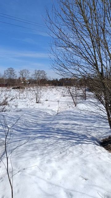 Земля От Государства_Локация №8