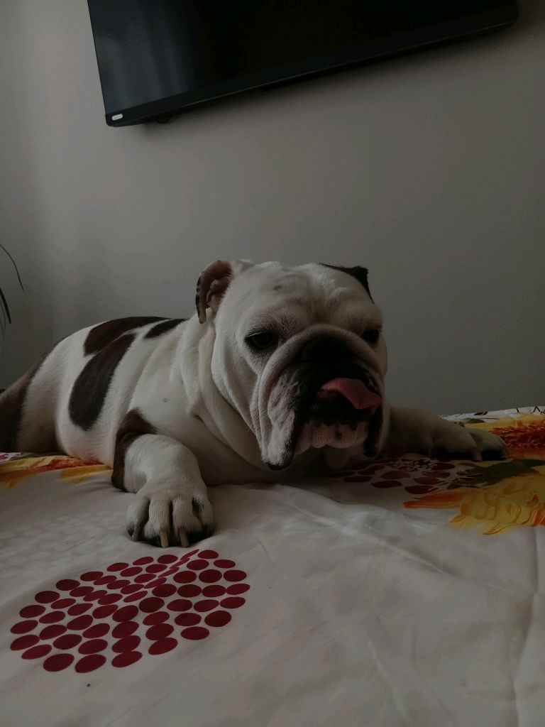 Вз на все ваши просьбы ❗❗❗