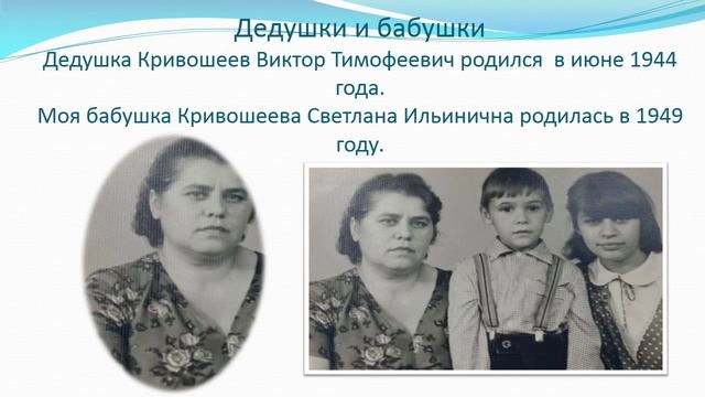 Кривошеев И.Исследовательский проект_compressed_crf28