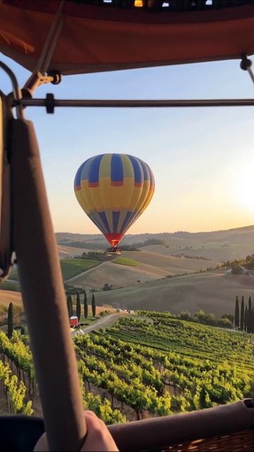 Красота воздушного шара над виноградниками #воздушныйшар #вино #пейзаж