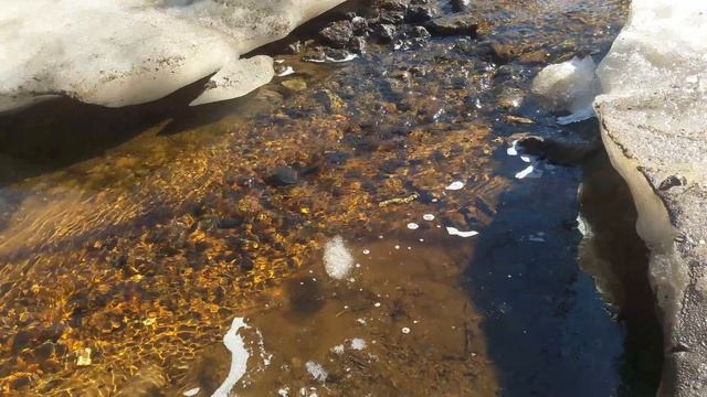 Март 2026. Весёлый солнечно-торфяной ручей.