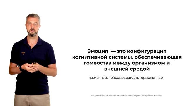 Стоицизм: механики работы эмоций (автор Сергей Сухов)