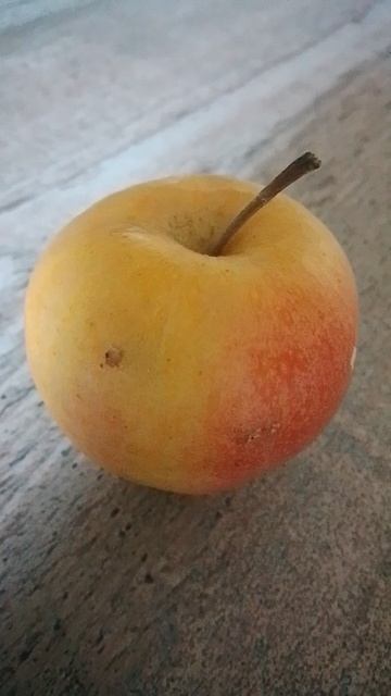 Он что то заподозрил